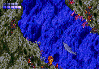 Ecco The Dolphin sur Mega CD : Plongée dans les profondeurs d'un classique aquatique Ecco The Dolphin sur Mega CD : Plongée dans les profondeurs d'un classique aquatique