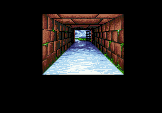 Advanced Dungeons & Dragons: Eye of the Beholder sur Mega CD - Une aventure épique dans les profondeurs de Waterdeep Advanced Dungeons & Dragons: Eye of the Beholder sur Mega CD - Une aventure épique dans les profondeurs de Waterdeep